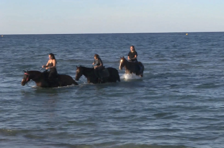 Projection de films Varan Corse *édition 2026*